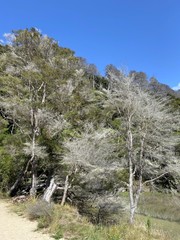Sentier de randonnée du parc Abel Tasman, Nouvelle Zélande