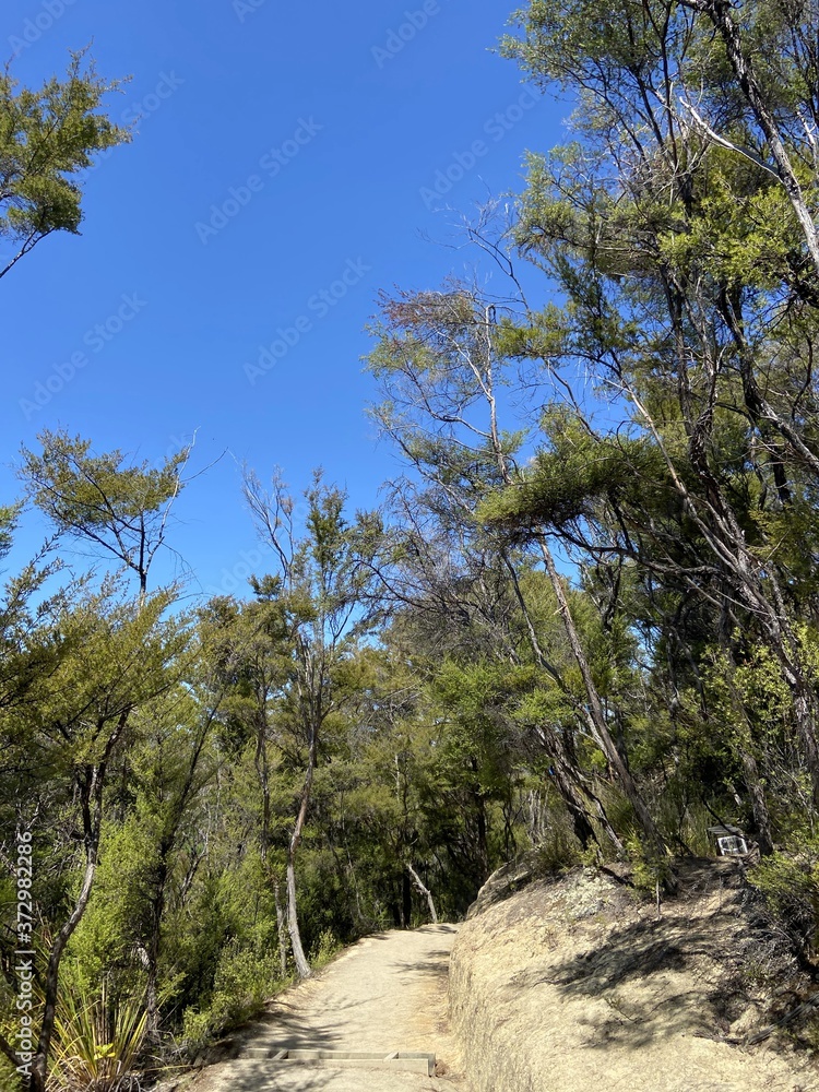 Canvas Prints Sentier de randonnée du parc Abel Tasman, Nouvelle Zélande