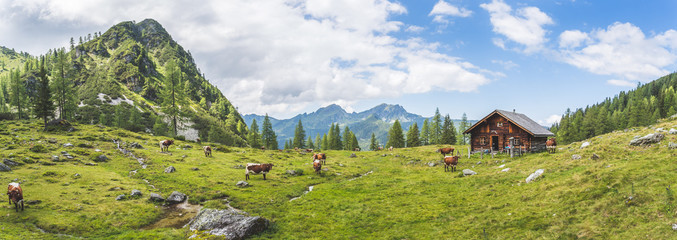Idyllic mountain landscape in the alps: Mountain chalet, cows, meadows and blue sky - 372982234