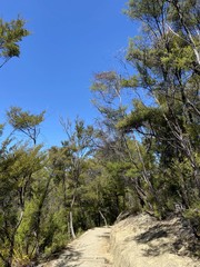 Sentier de randonnée du parc Abel Tasman, Nouvelle Zélande