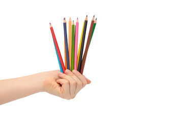 Multi-colored pencils for drawing in a female hand. Isolated on white background.