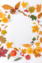 Frame of colorful autumn leaves on white background.