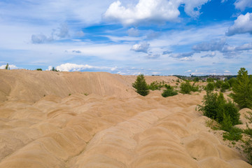 Sandy yellow dunes overgrown with trees and bushes on a summer day.