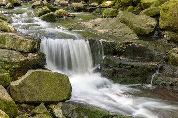 Holzbachschlucht 7