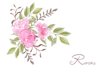 Hand drawn watercolor painting  with pink roses flowers bouquet isolated on white background. Floral ornament. Design element.