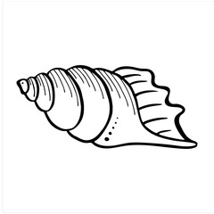 Prawn, hand drawn isolated vector illustration