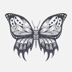 Skull butterfly vector illustration