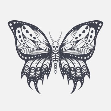 Skull butterfly vector illustration