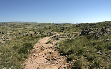 Hiking. View of the dirt footpath along the green meadow and grassland high in the mountains.