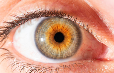 Close-up human eye. Macro photography.