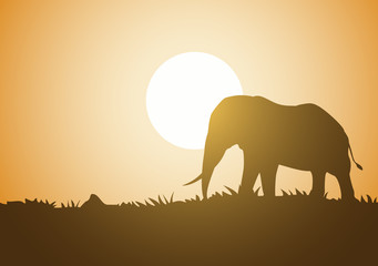 Creative design of elephant walking illustration