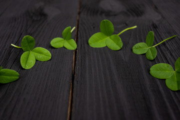 clover, fresh plants on vintage wooden boards. Good luck symbol, concept of St. Patrick's Day and New Year.