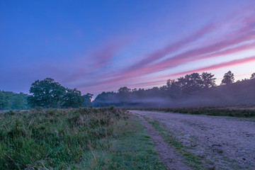 Heidschnuckenweg Lüneburger Heide 