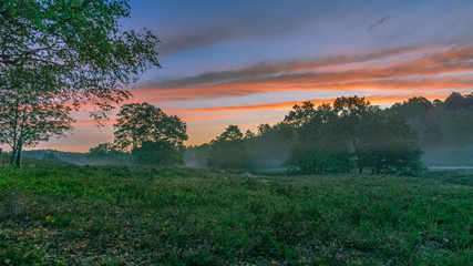 Obraz premium Heidschnuckenweg Lüneburger Heide 