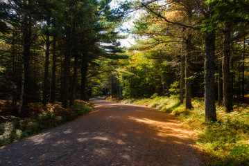 Fototapeta na wymiar Autumn Views, Carriage Road, Acadia National Park, Maine