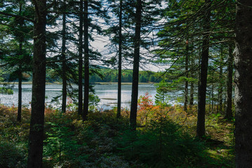 Aunt Betty Pond, Acadia National Park, Maine