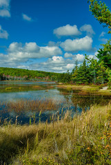 Fototapeta na wymiar Aunt Betty Pond, Acadia National Park, Maine