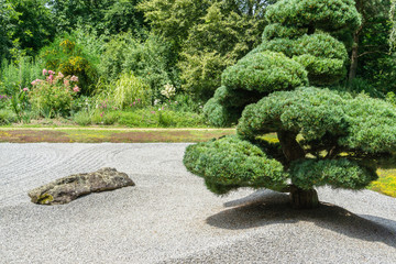 Asia Garten- Zen Garten 