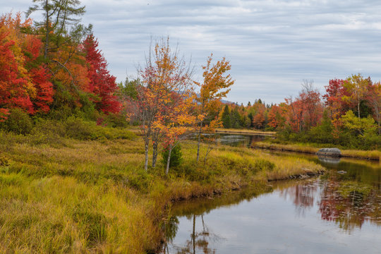 Thompson Bay Inlet, Mount Desert Island, Maine