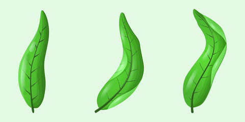 Seamless pattern of beautiful leaves of a plant with shadows and highlights of different shapes in dark green color, in a realistic style.