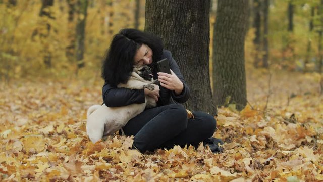 Woman making selfie with funny cute pug dog. Hugging. Evening autumn park, forest. Yellow autumn leaves. Taking photos on a smartphone. Female owner loves her dog