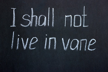 
Chalkboard lettering I shall not live in vane. Motivating phrase