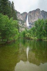 Fototapeta premium reflection of yosemite falls in merced river, yosemite national park, usa