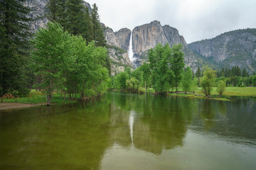 Fototapeta premium reflection of yosemite falls in merced river, yosemite national park, usa