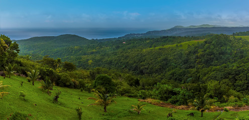 Obraz premium A view across the jungle towards Castries in St Lucia