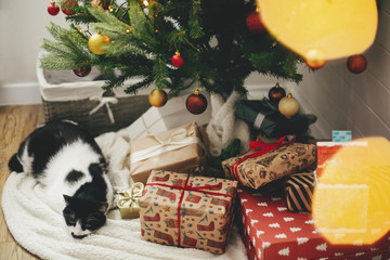Cute cat sleeping under Christmas tree with gifts and festive lights. Stylish wrapped gifts under christmas tree with red and gold baubles and adorable kitty in scandinavian room