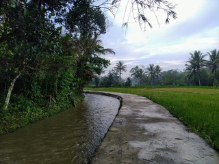 path to the river