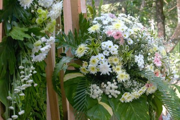 white flowers in a garden