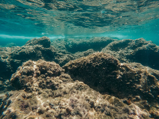 Coral reef in the middle of the Mediterranean Sea.