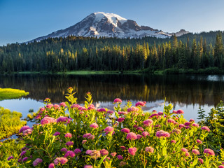 July early morning on the Reflection Lakes in Mount Rainier National Park © oldmn