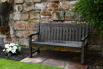 bench in the garden