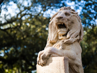 Fototapeta na wymiar state of a lion in savannah Georgia 