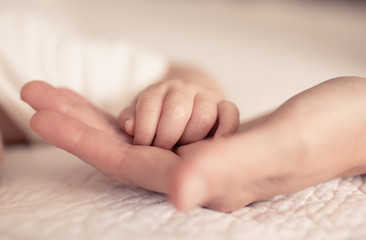 Mother holding tiny newborn baby hands. 