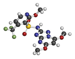 Pyroxsulam herbicide molecule. 3D rendering. Atoms are represented as spheres with conventional color coding: hydrogen (white), carbon (grey), nitrogen (blue), oxygen (red), sulfur (yellow), etc