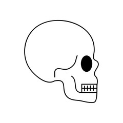 human body concept, head skull icon, line style