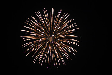Low angle shot of fireworks shining in the night sky