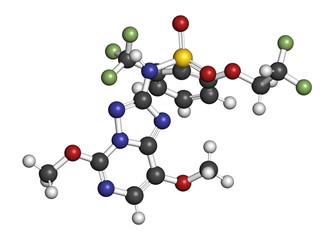 Penoxsulam herbicide molecule. 3D rendering. Atoms are represented as spheres with conventional color coding: hydrogen (white), carbon (grey), nitrogen (blue), oxygen (red), etc