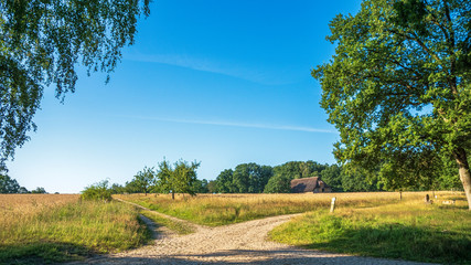 Fototapeta na wymiar Heidschnuckenweg Lüneburger Heide 