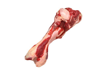 Raw meaty beef bone isolated on white background. Natural dog food. 