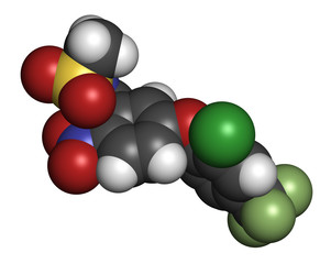 Fomesafen herbicide molecule. 3D rendering. Atoms are represented as spheres with conventional color coding: hydrogen (white), carbon (grey), nitrogen (blue), oxygen (red), chlorine (green), etc