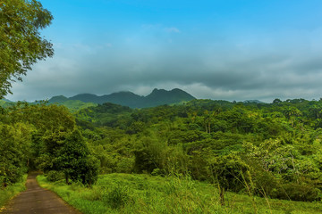 A view across the jungle towards the stratovolcano, Mount Saint Catherine in Grenada