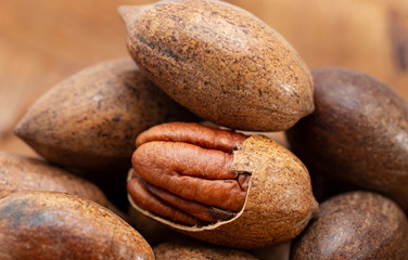 Pecan (Carya illinoinensis) is a species of hickory native to northern Mexico. The seed is an edible nut.