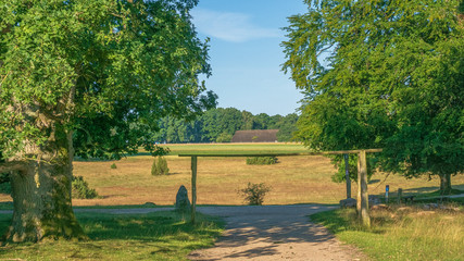Heidschnuckenweg Lüneburger Heide 