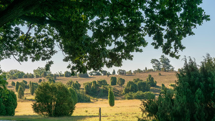 Heidschnuckenweg Lüneburger Heide 