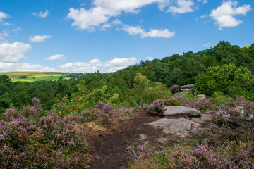 landscape with blue sky