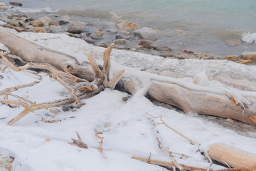 Frozen coast